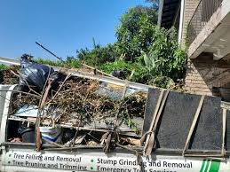 Best Retail Junk Removal  in Williston, FL